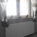 Apartament Scandynawski