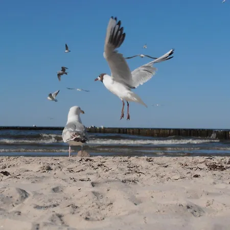 Scandynawski Appartamento Kołobrzeg