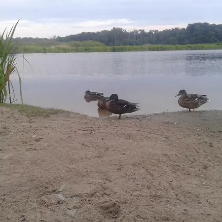 Appartamento Scandynawski *