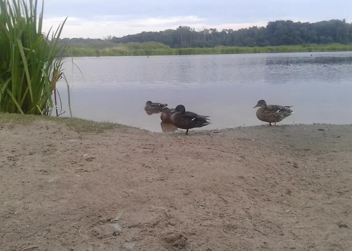 דירה Scandynawski *